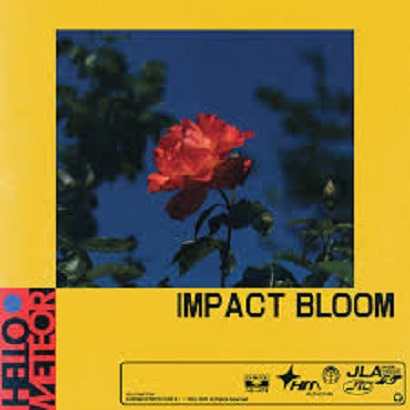 Hello Meteor - Impact Bloom (2025)