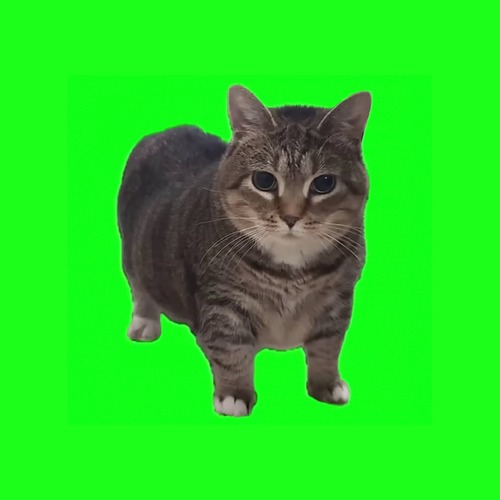 W&W - OIIA OIIA (Spinning Cat)