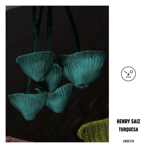 Henry Saiz - Turquesa