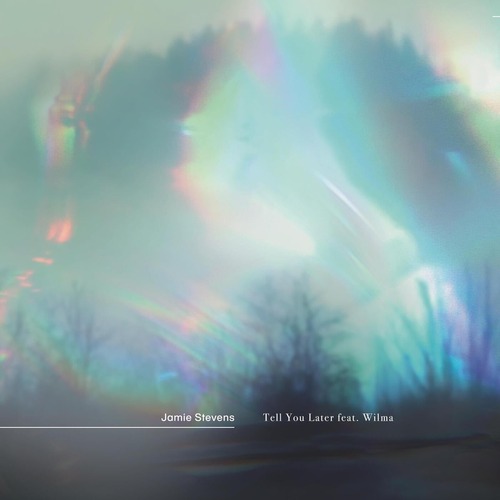 Jamie Stevens, Wilma (AU) - Tell You Later (feat. Wilma (AU)) [The Mixes]