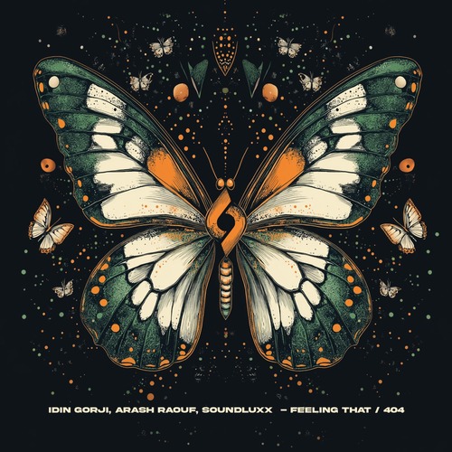 Idin Gorji, Soundluxx, Arash Raouf - Feeling That / 404