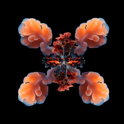 VA – Symbiosis Three [IMPRSSM030B1]