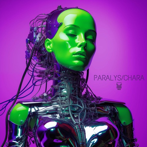 Kinky Sound, Nedisco, Maheridis – Paralys _ Chara [SRBT186]