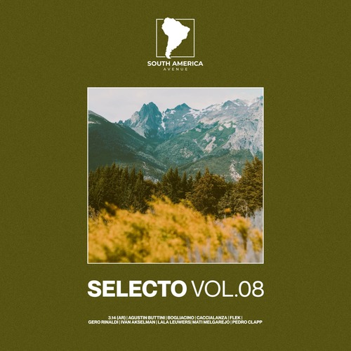 VA – Selecto South America, Vol. 8 [SAALP017]