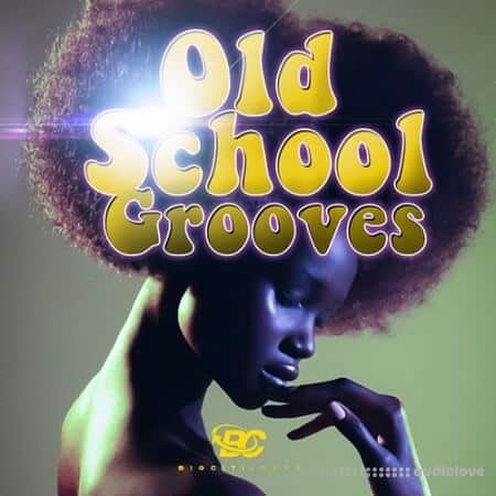 Big Citi Loops Old School Grooves [WAV]