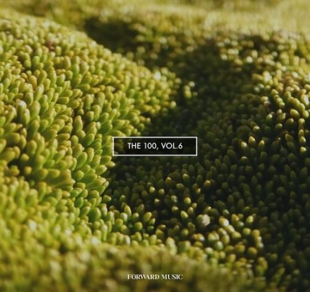 VA - The 100, Vol. 6 [FM078LP]