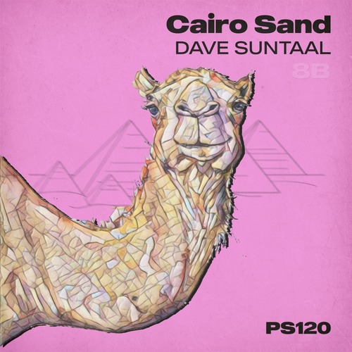 Dave Suntaal - Cairo Sand [PS120]