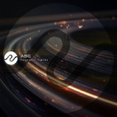 ASC - Magnetic Fields (2025 WF24)