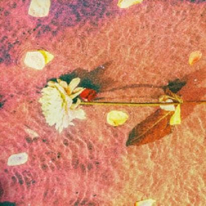 Anamé - Malibu (Extended Mix)