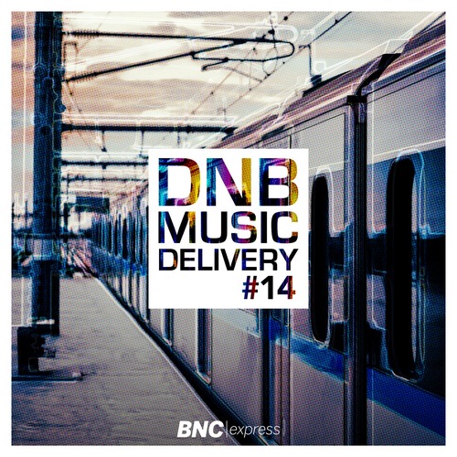 VA - Delivery #14 download for free