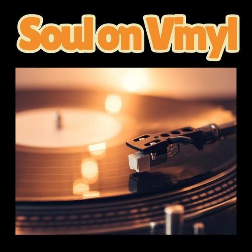 VA - Soul on Vinyl (2026)
