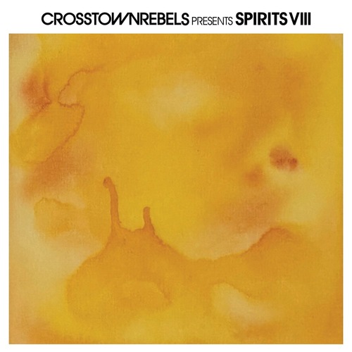 https://specialfordjs.org/house/92446-va-crosstown-rebels-present-spirits-viii.html