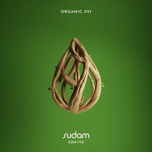 VA - ORGANIC XVI [