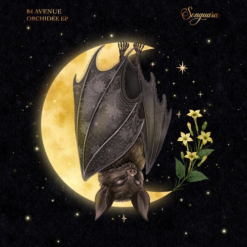 84 Avenue - Orchidée Songuara