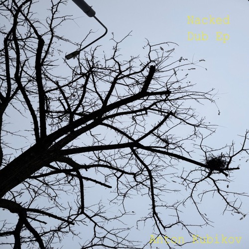 Anton Kubikov – Naked Dub