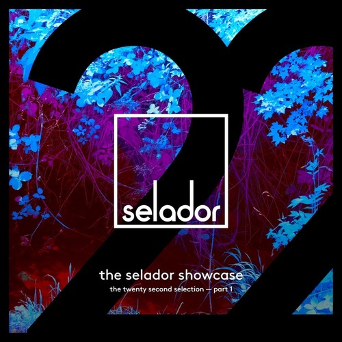 VA - Selador Showcase 22