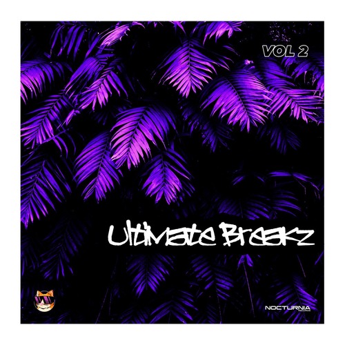 VA - Ultimate Breakz Vol.2