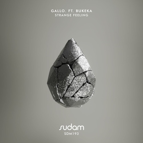 Gallo. – Strange Feeling