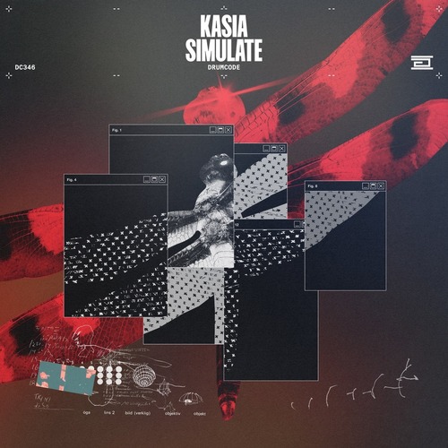 KASIA (ofc) – Simulate