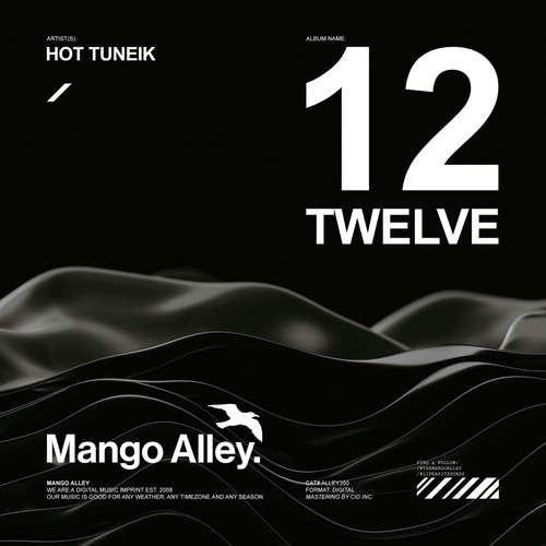 Hot Tuneik – Twelve
