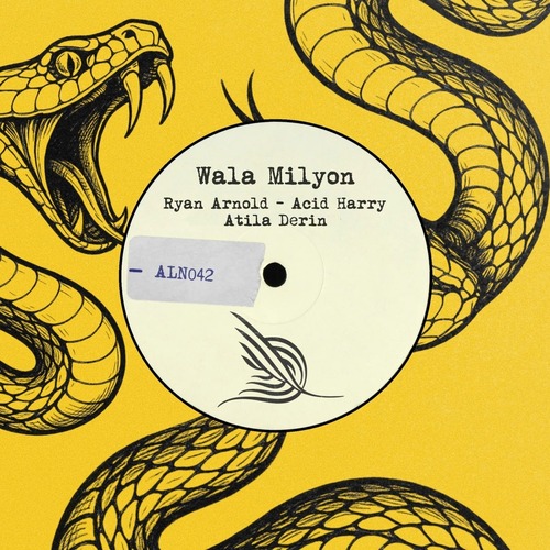 Ryan Arnold, ACID HARRY, Atila Derin