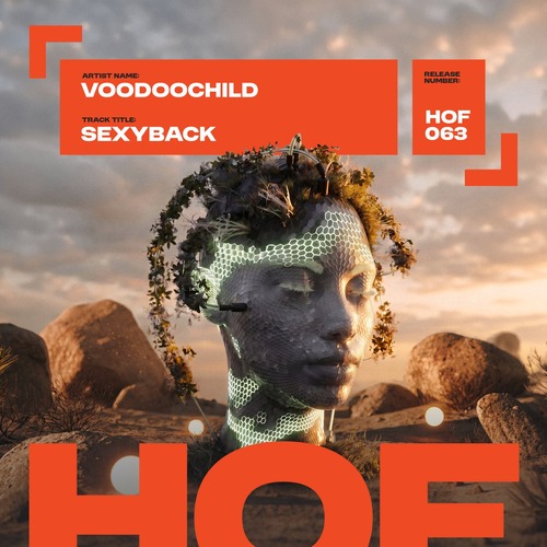Voodoochild - SexyBack (Original Mix)