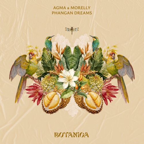 Morelly, AGMA - Phangan Dreams