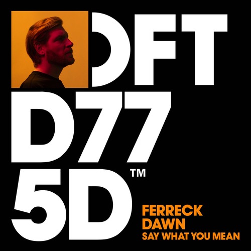 Ferreck Dawn - Say What You Mean