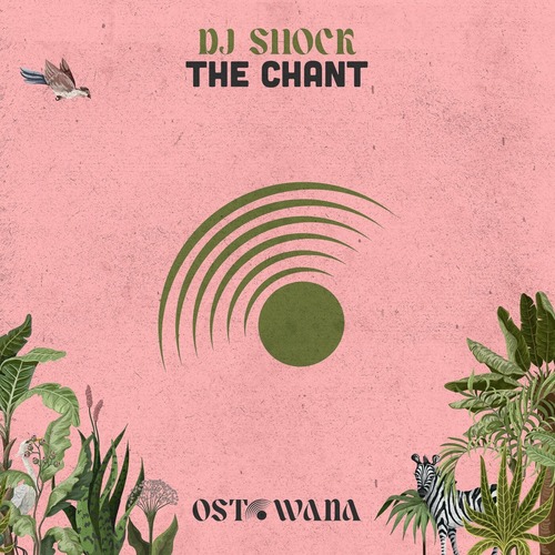 DJ Shock - The Chant
