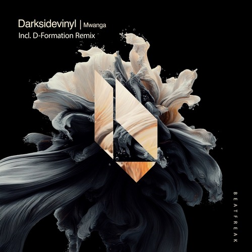 Darksidevinyl - Mwanga