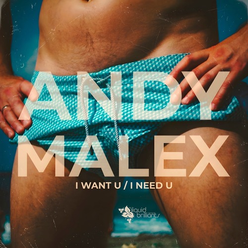 Andy Malex - I Want U (2025) FLAC