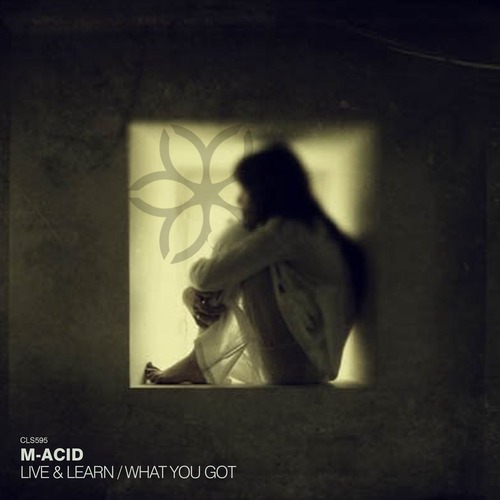 M-acid - Live & Learn / What You Got
