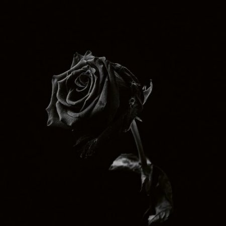 Viclan - Healing Wounds (2026)