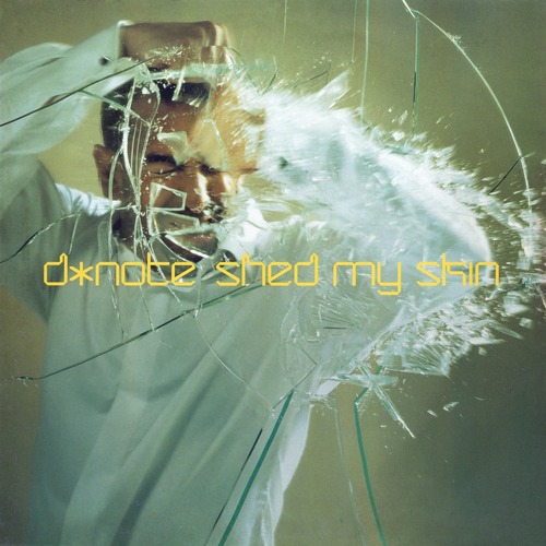 D*Note - Shed My Skin (PMT Mix)