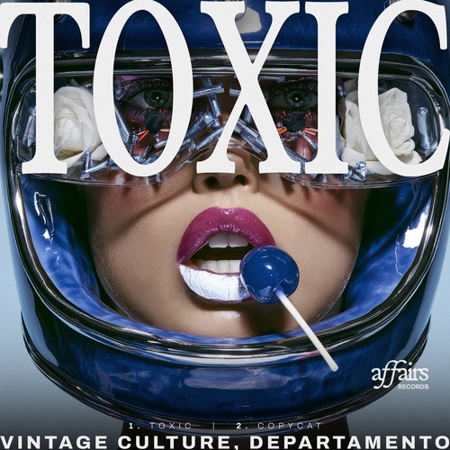Vintage Culture - Toxic (2026) FLAC