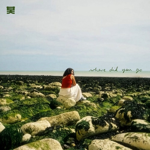 Pola & Bryson, DRIIA - Where Did You Go