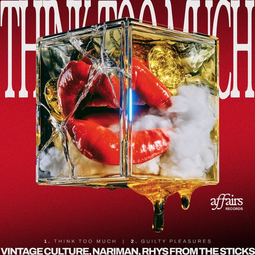 Vintage Culture, Rhys from the Sticks, Nariman - Think Too Much EP