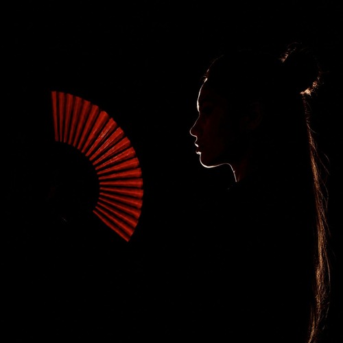 Slive, KRISTINA PI - House of Geisha (Extended Mix)