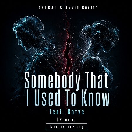 ARTBAT & David Guetta – Somebody That I Used To Know feat. Gotye