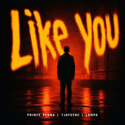 Prince Penna, TjaySync, Lampa - Like You [AYB001
