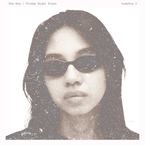 The Bug, Friday Night Plans - Ladybug 2