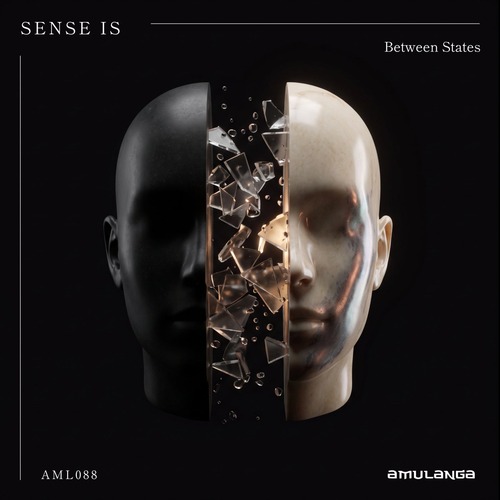 Sense IS - Between States