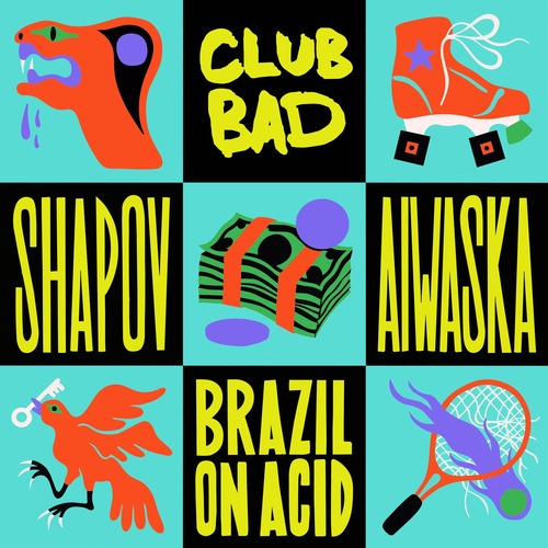 Shapov, Aiwaska - Brazil on Acid (Original Mix)