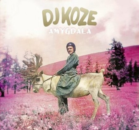 DJ Koze / VA – Amygdala (2013)