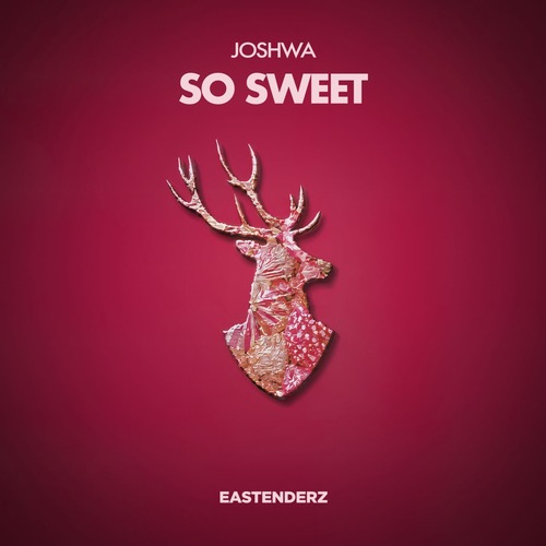Joshwa - So Sweet ENDZDGTL019